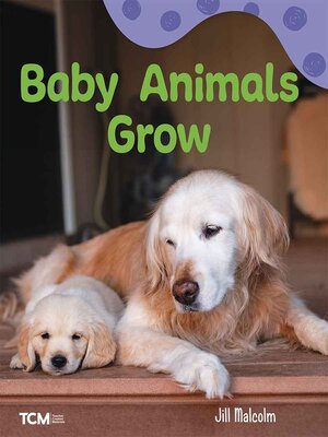 cover image of Baby Animals Grow